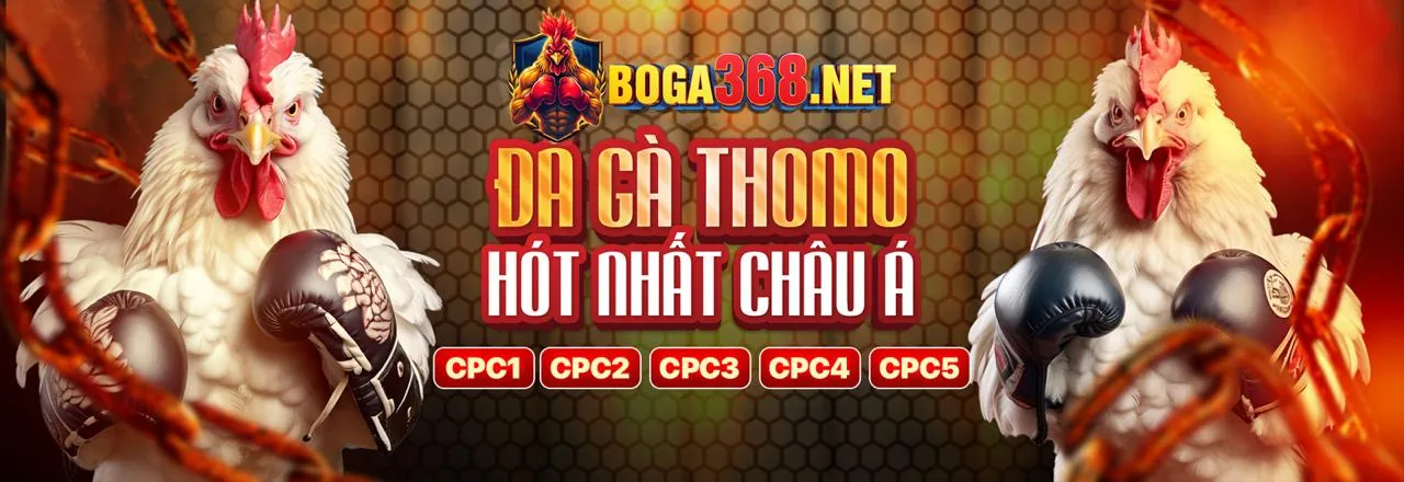 Lợi ích khi chọn 3333win casino
